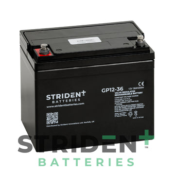 Strident™ AGM GP12-36 (2 Batteries)